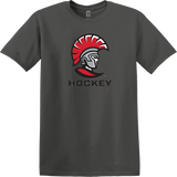 University of Tampa Softstyle T-Shirt