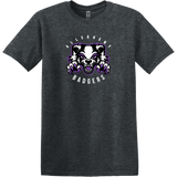 Lady Badgers Softstyle T-Shirt