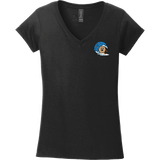 BagelEddi's Softstyle Ladies Fit V-Neck T-Shirt