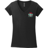 Wash U Softstyle Ladies Fit V-Neck T-Shirt