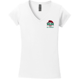 Wash U Softstyle Ladies Fit V-Neck T-Shirt
