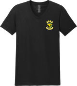 Chester County Softstyle V-Neck T-Shirt