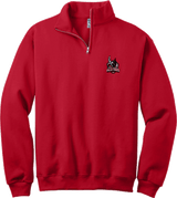 NJ Valkyries NuBlend 1/4-Zip Cadet Collar Sweatshirt