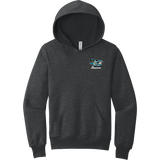 Boca Barracudas Youth Sponge Fleece Pullover Hoodie