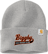 Biggby Coffee AAA Carhartt Watch Cap 2.0