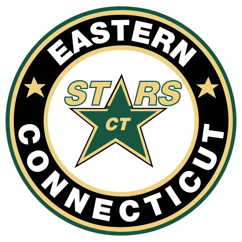 CT ECHO Stars Car Magnet