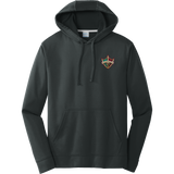 Delaware Ducks Performance Fleece Pullover Hooded Sweatshirt