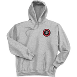 South Pittsburgh Rebellion Ultimate Cotton - Pullover Hooded Sweatshirt