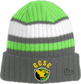 Chester County New Era Ribbed Tailgate Beanie
