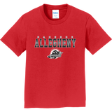 Allegheny Badgers Youth Fan Favorite Tee