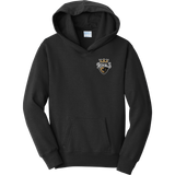 Queen City Royals Youth Fan Favorite Fleece Pullover Hooded Sweatshirt